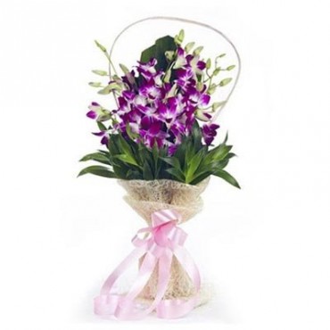 Fresh Flowers Bouquet of Purple Orchids Bunch